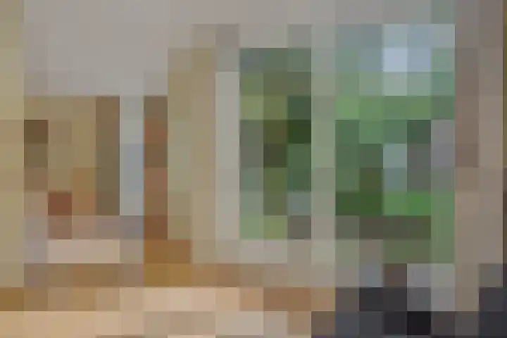 Populierenlaan 16 Rosmalen thumbnail 8