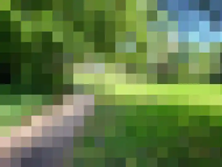 Populierenlaan 167 Amstelveen thumbnail 19