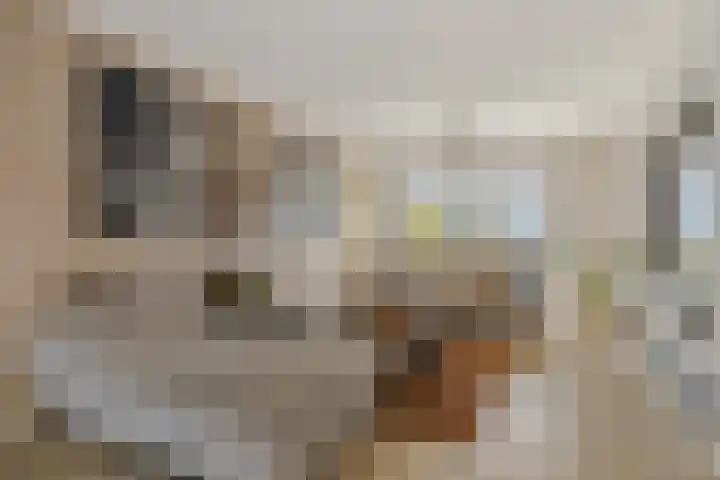 Populierenlaan 17 Leusden thumbnail 11