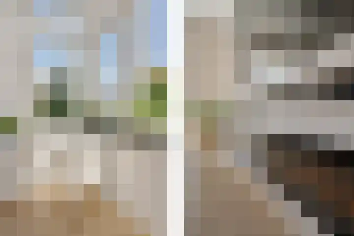 Populierenlaan 17 Leusden thumbnail 12