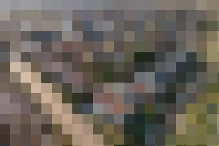 Populierenlaan 17 Leusden thumbnail 35