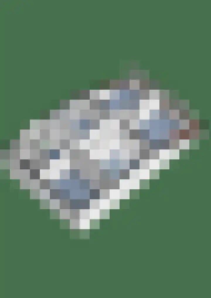 Populierenlaan 17 Leusden thumbnail 44