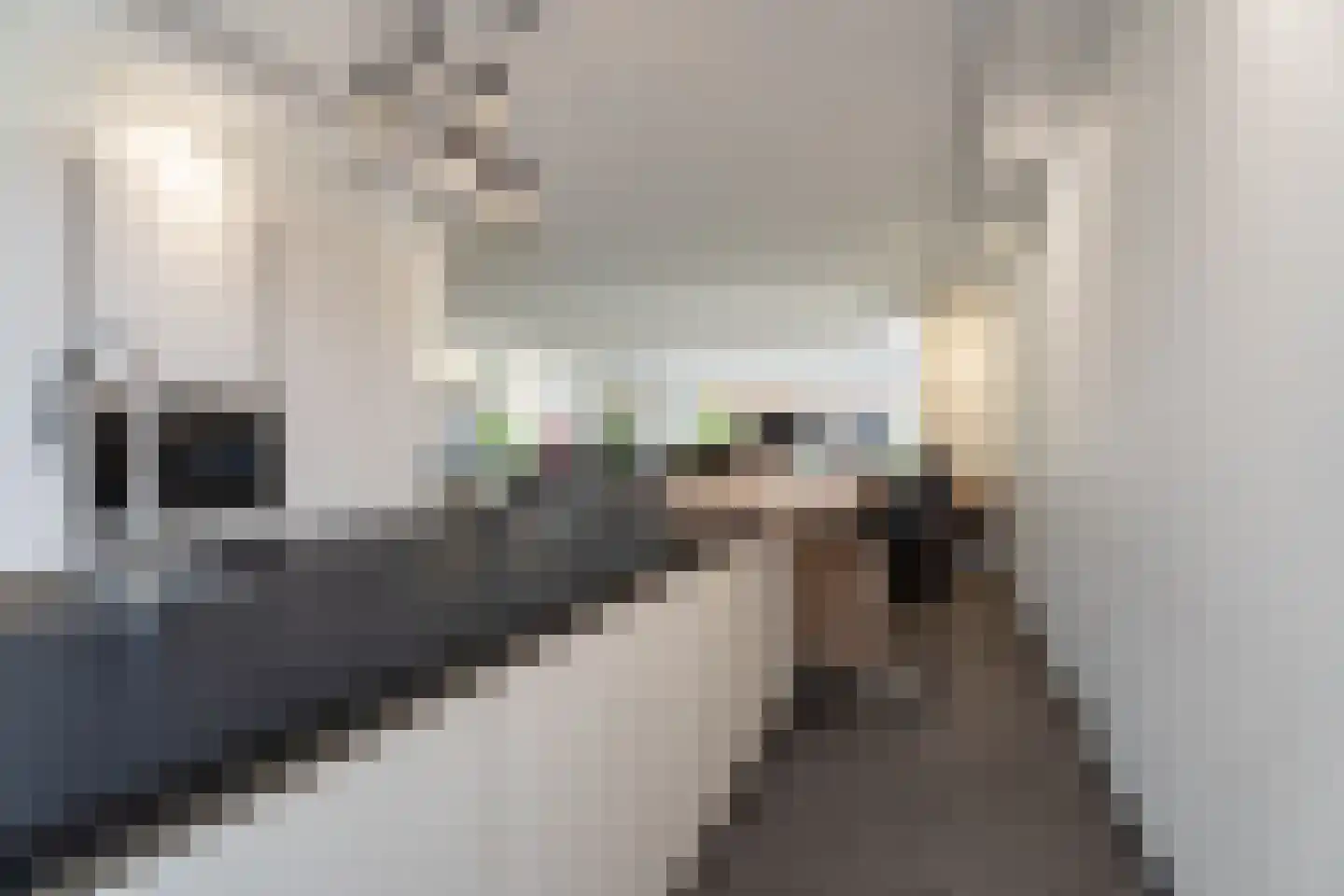 Populierenlaan 171 Krimpen aan den IJssel thumbnail 12