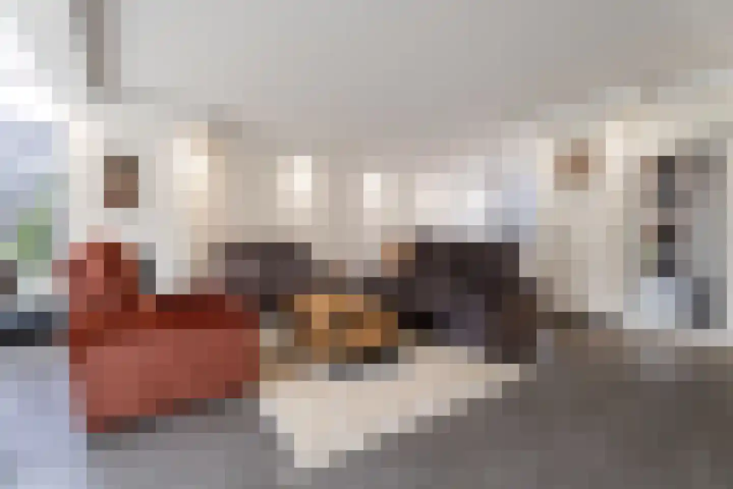 Populierenlaan 171 Krimpen aan den IJssel thumbnail 14