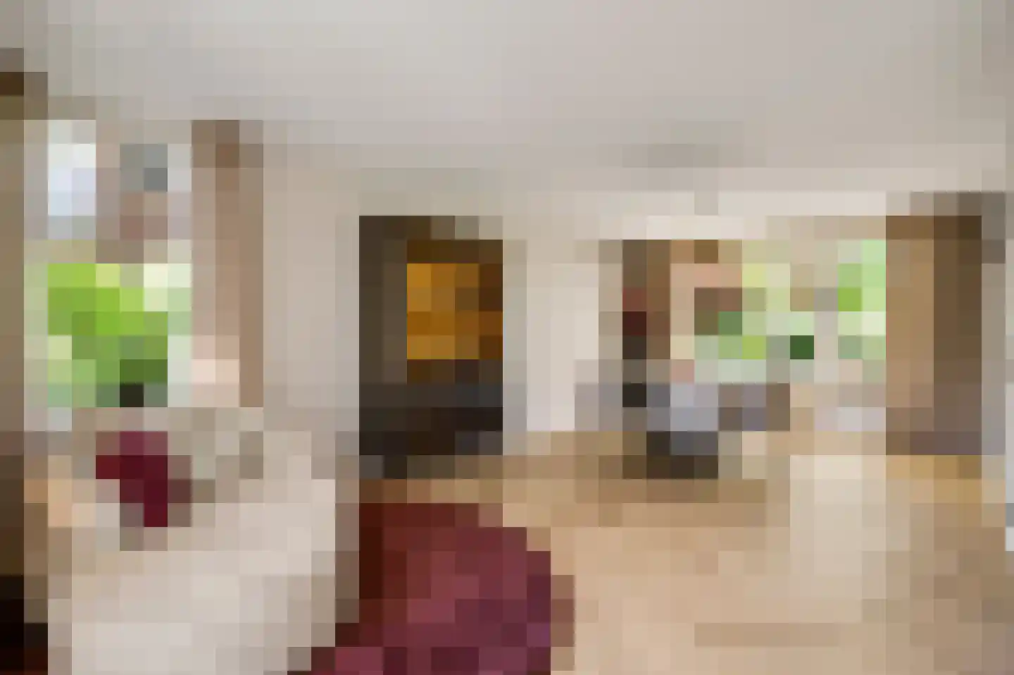 Populierenlaan 18 Vlodrop thumbnail 10