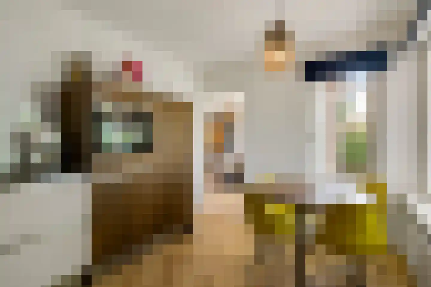 Populierenlaan 18 Vlodrop thumbnail 13