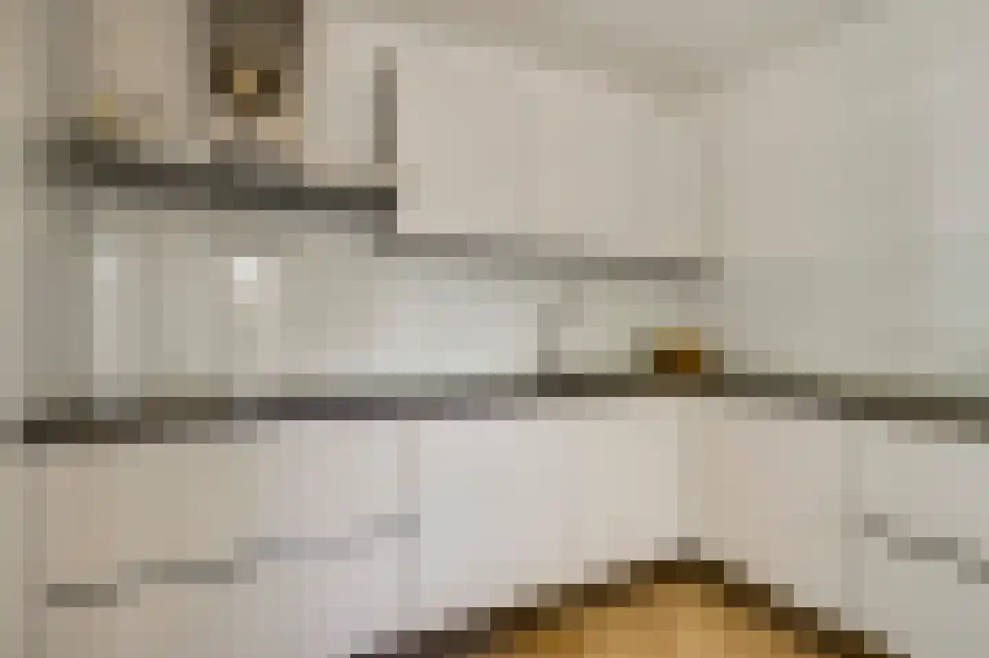 Populierenlaan 18 Vlodrop thumbnail 14