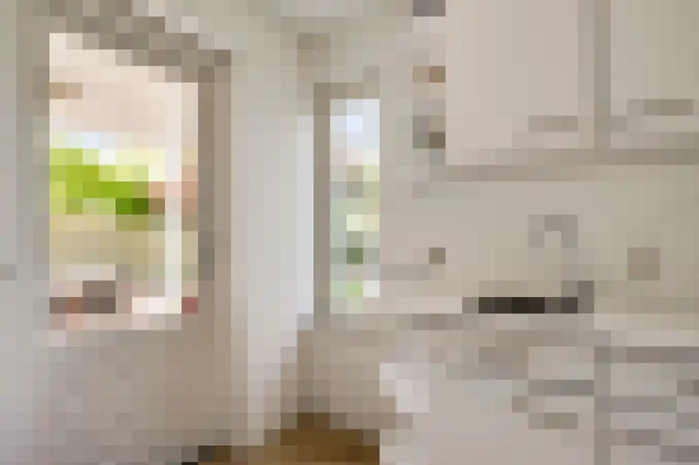 Populierenlaan 18 Vlodrop thumbnail 16