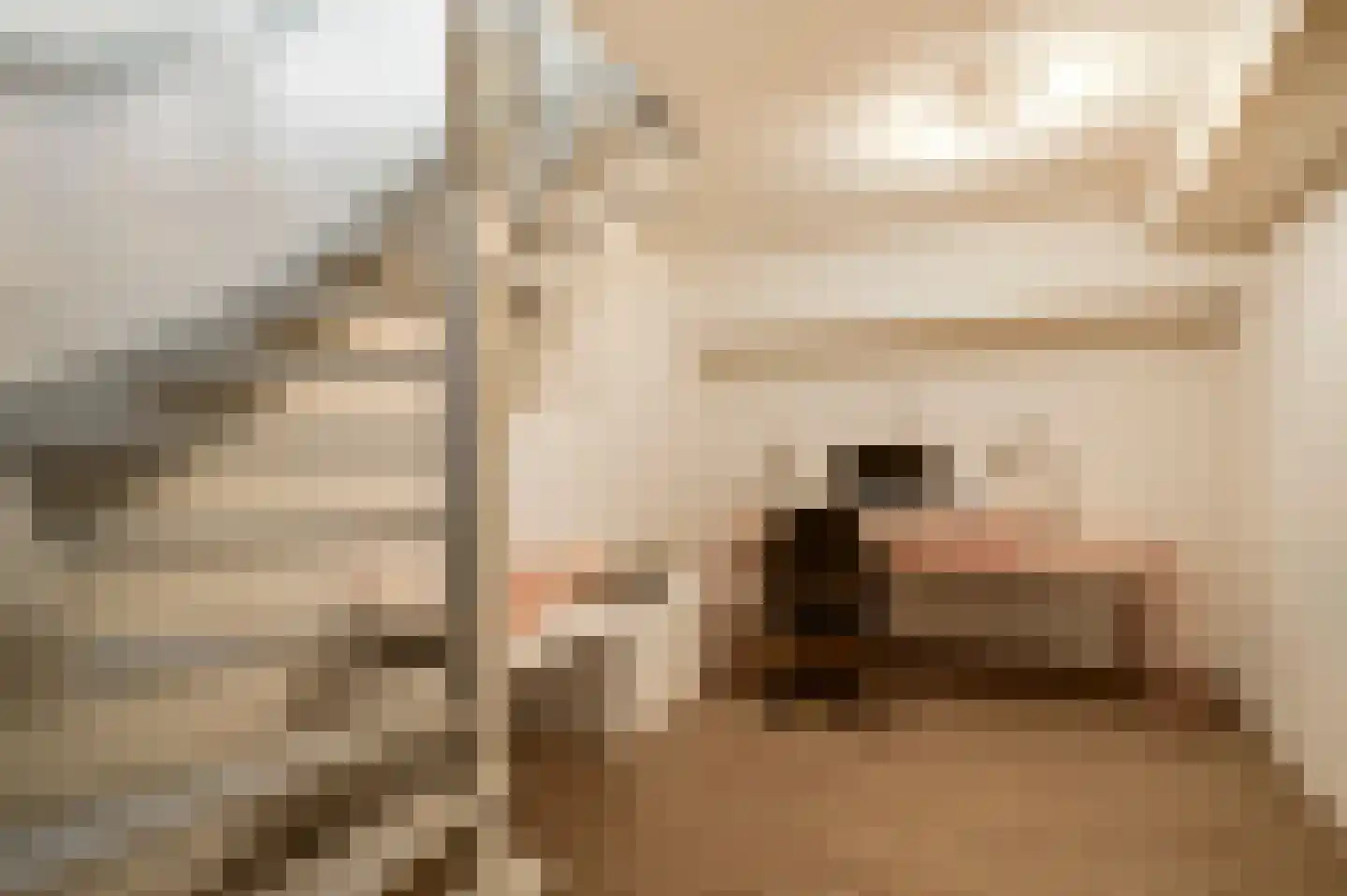 Populierenlaan 18 Vlodrop thumbnail 17