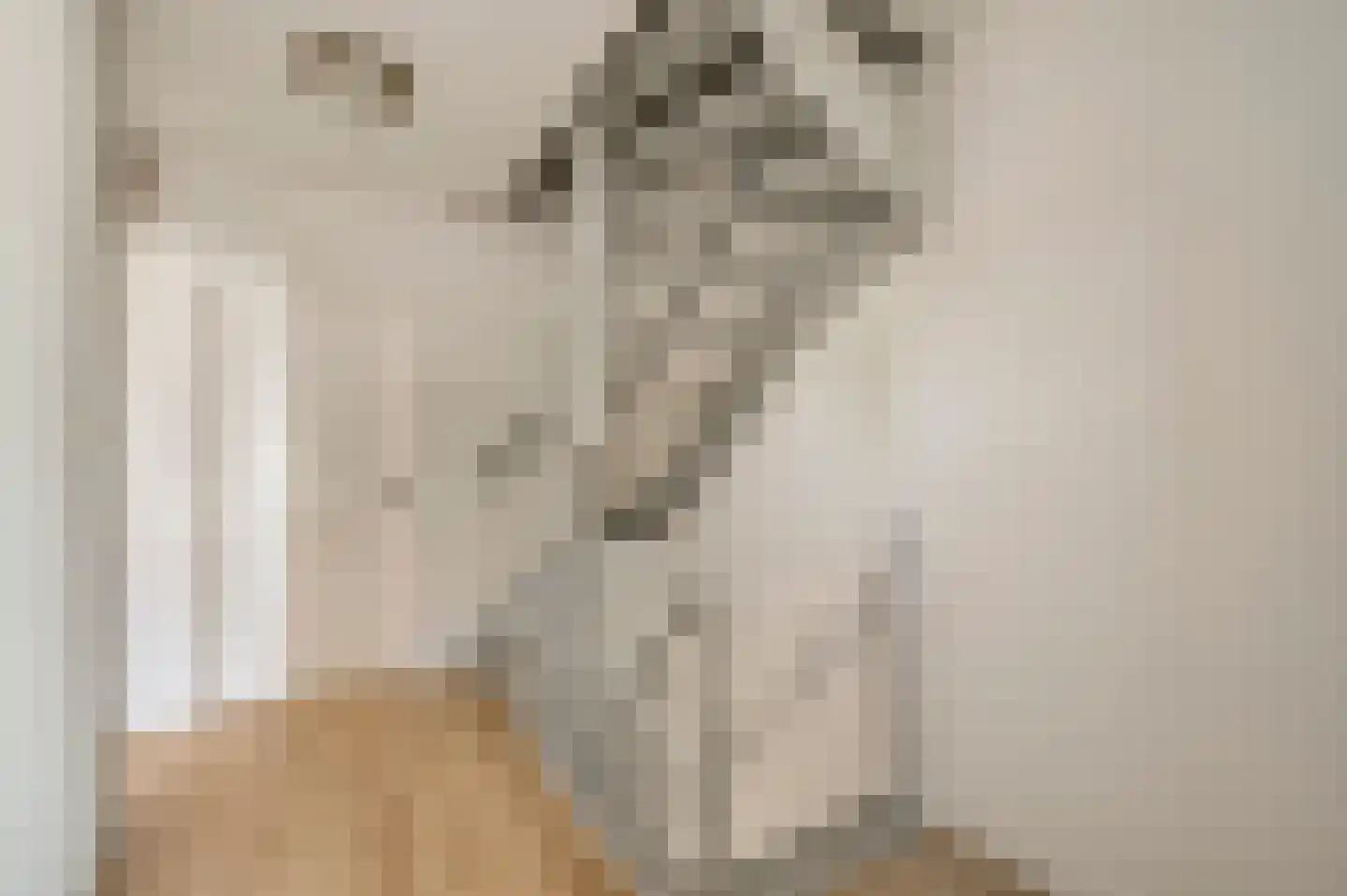 Populierenlaan 18 Vlodrop thumbnail 21