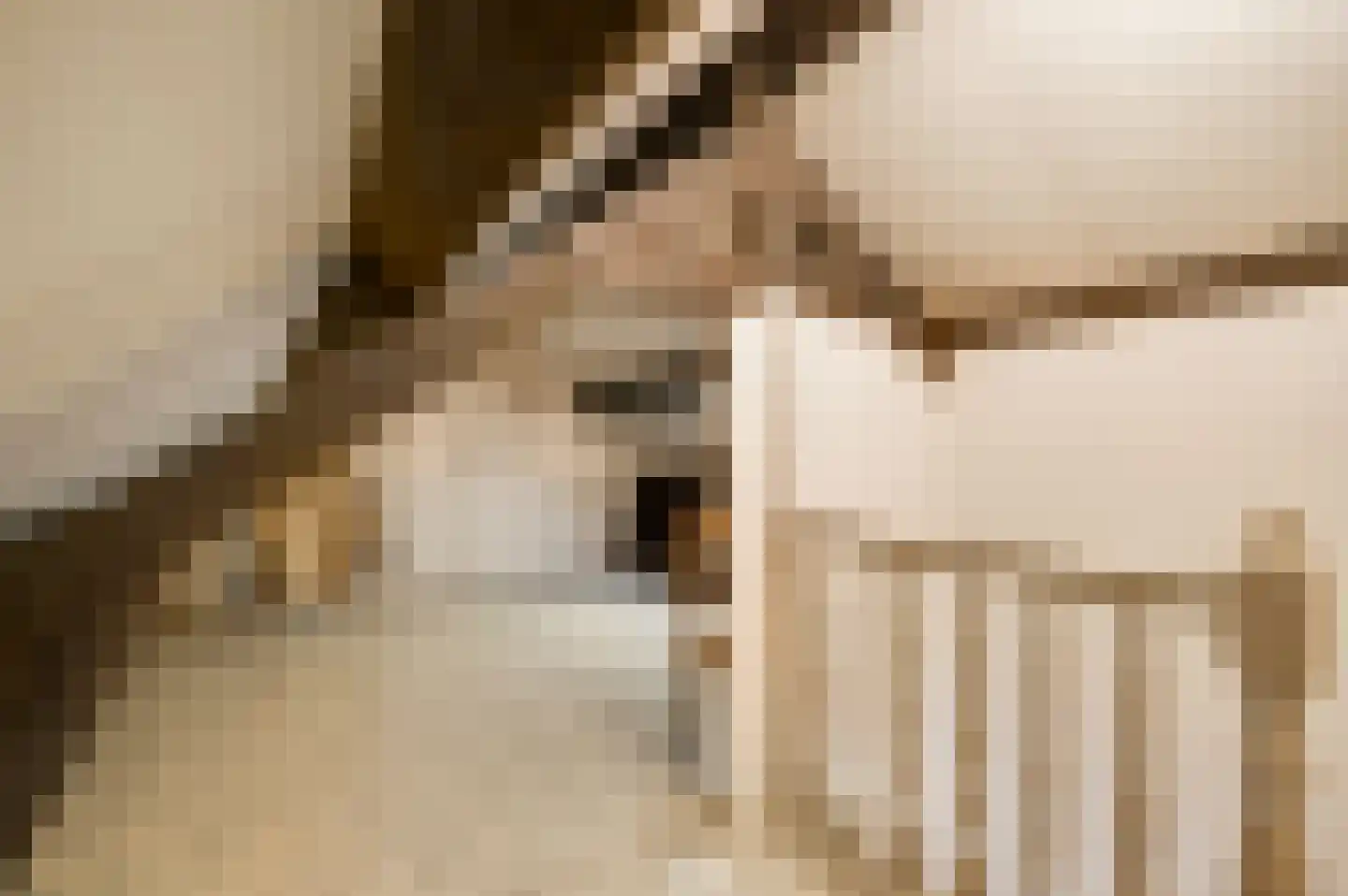 Populierenlaan 18 Vlodrop thumbnail 28
