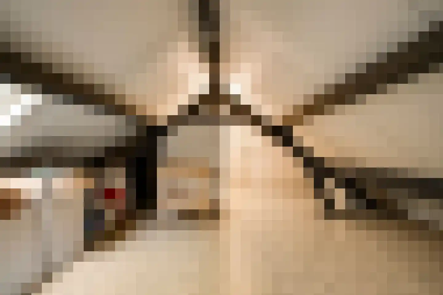Populierenlaan 18 Vlodrop thumbnail 29