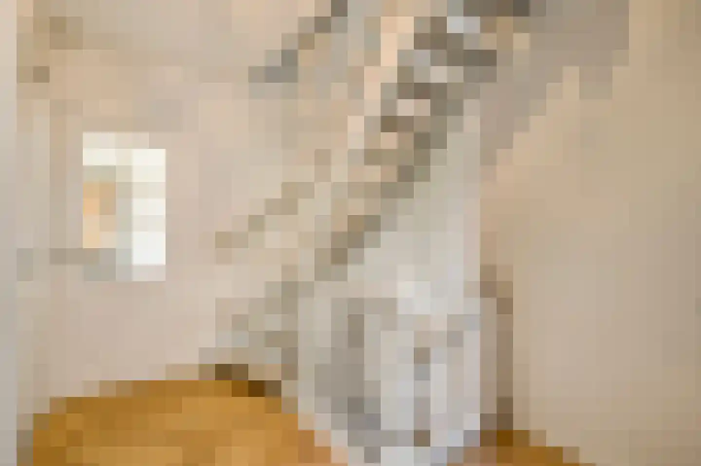 Populierenlaan 18 Vlodrop foto 3