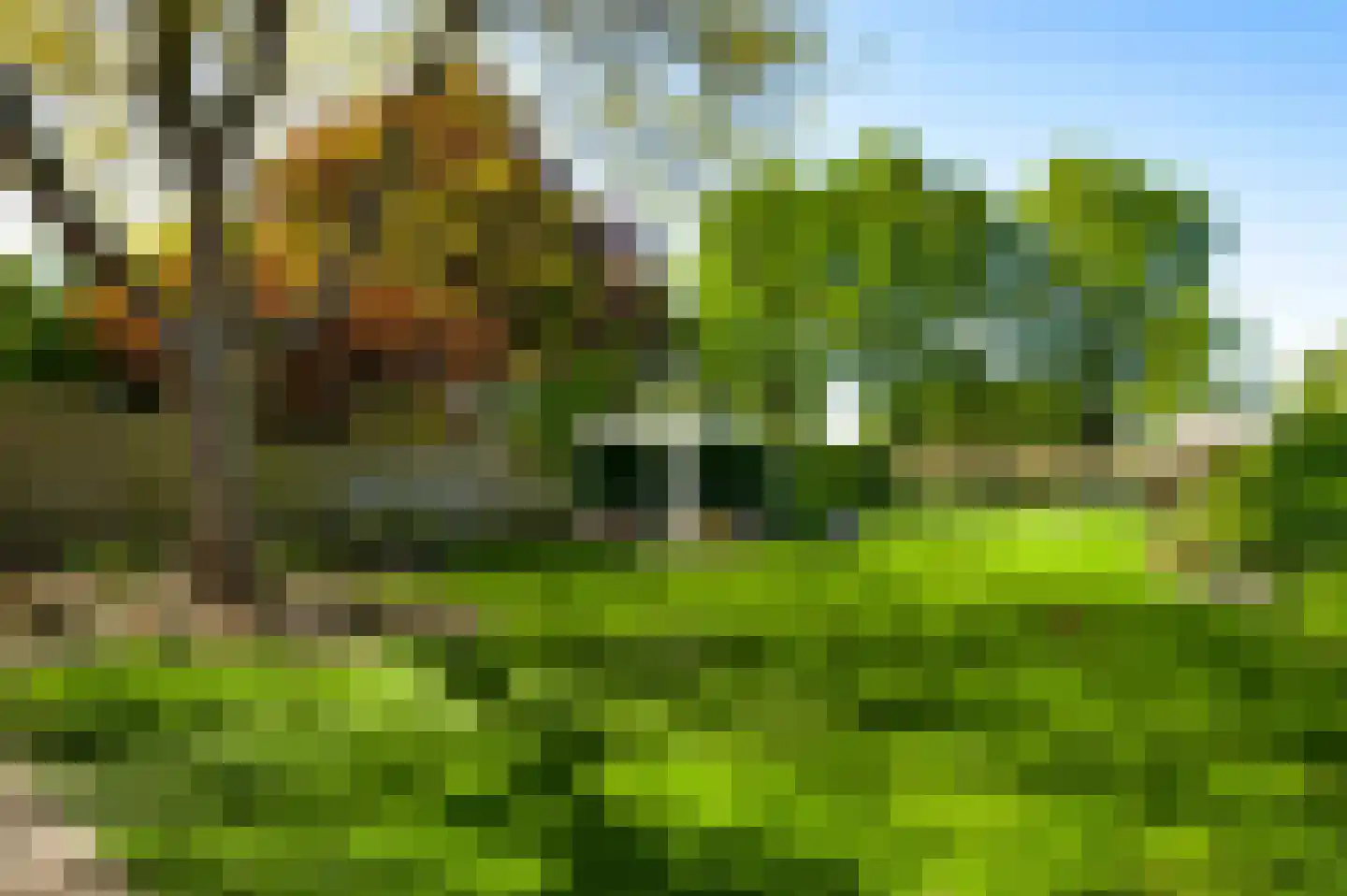 Populierenlaan 18 Vlodrop thumbnail 33