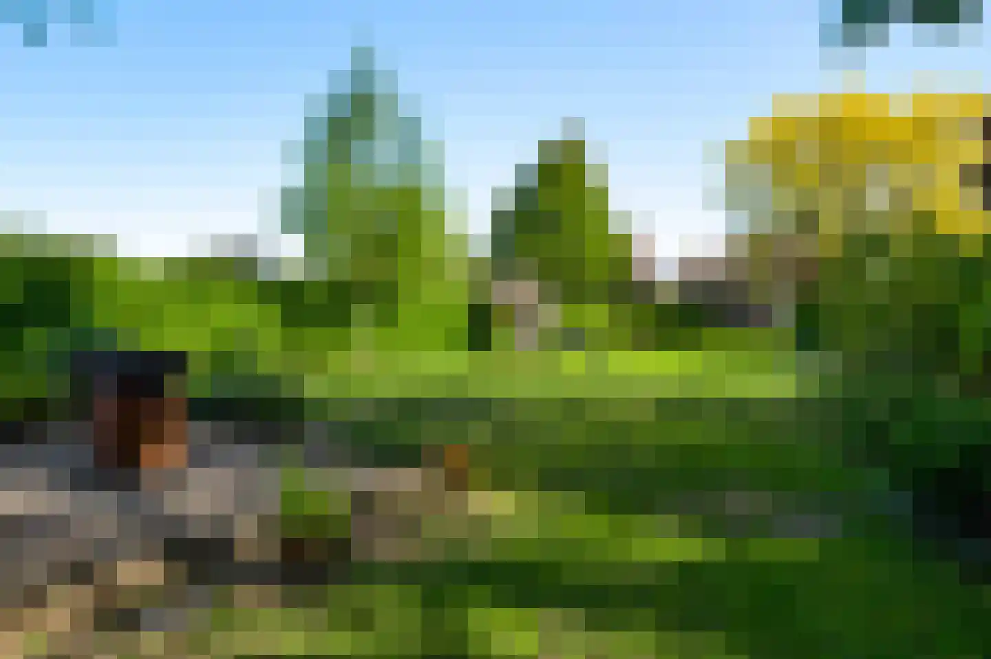 Populierenlaan 18 Vlodrop thumbnail 37