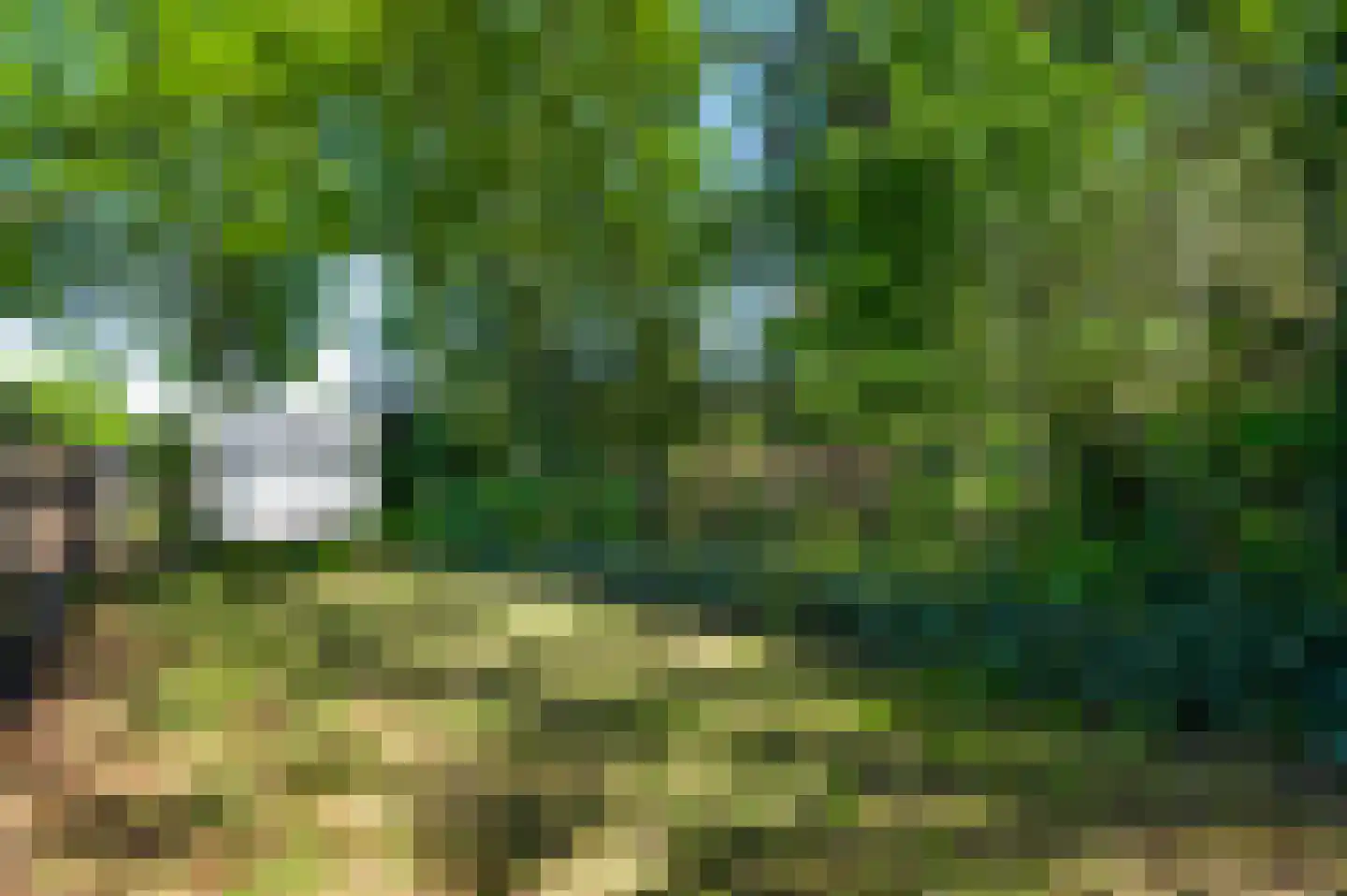 Populierenlaan 18 Vlodrop thumbnail 38