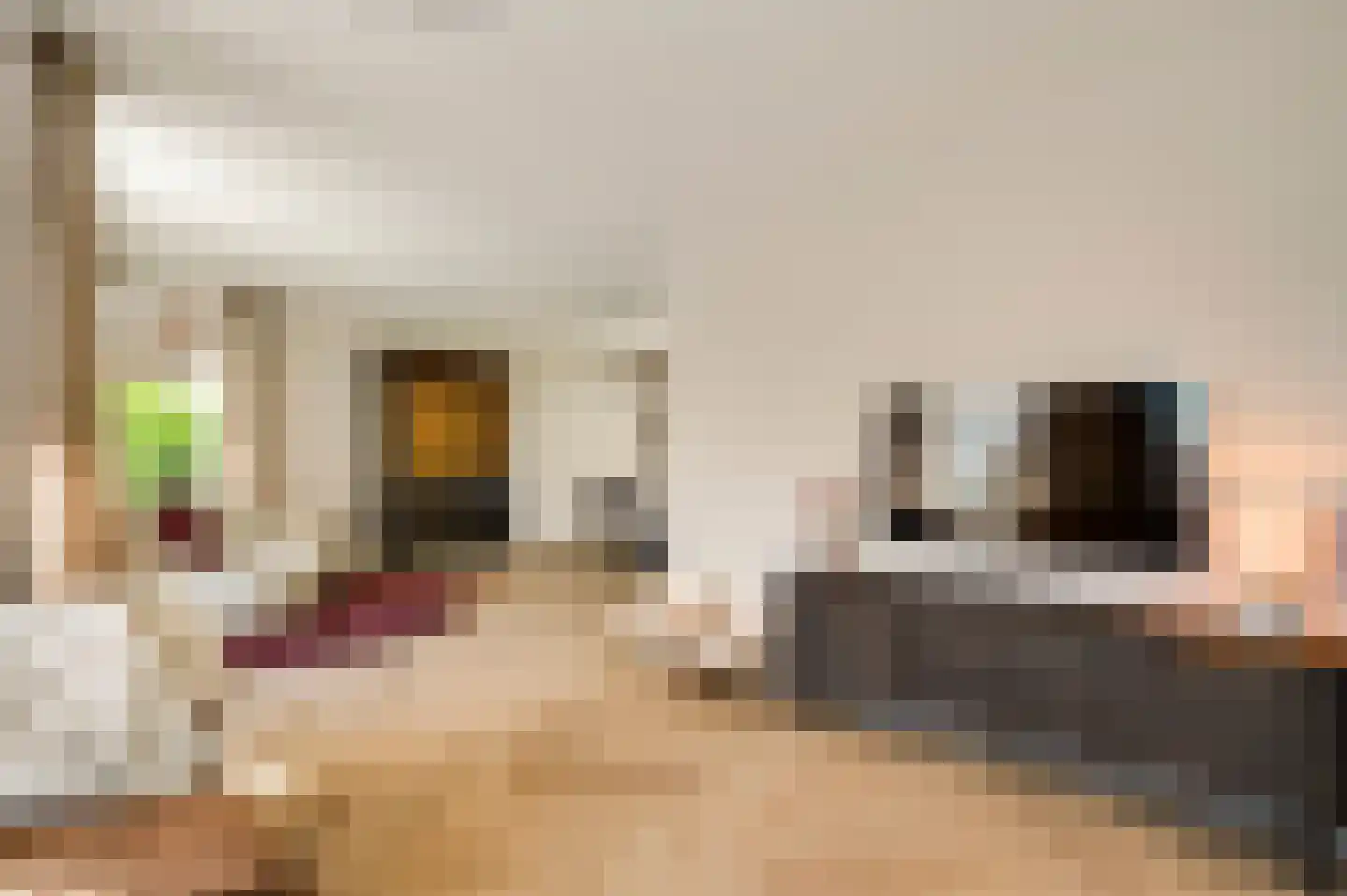 Populierenlaan 18 Vlodrop thumbnail 8