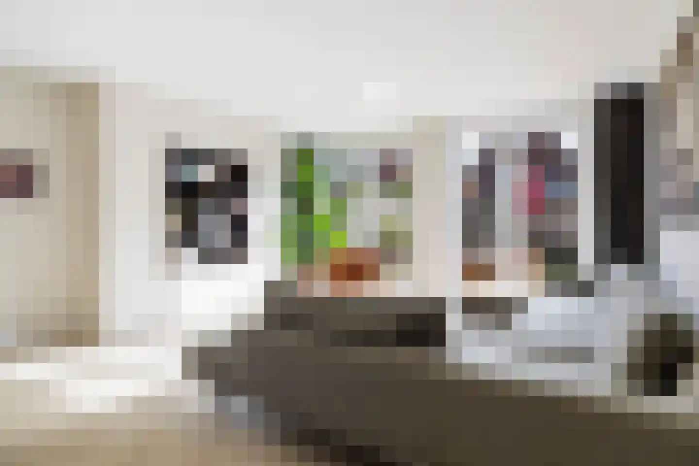 Populierenlaan 18 Woudenberg thumbnail 15