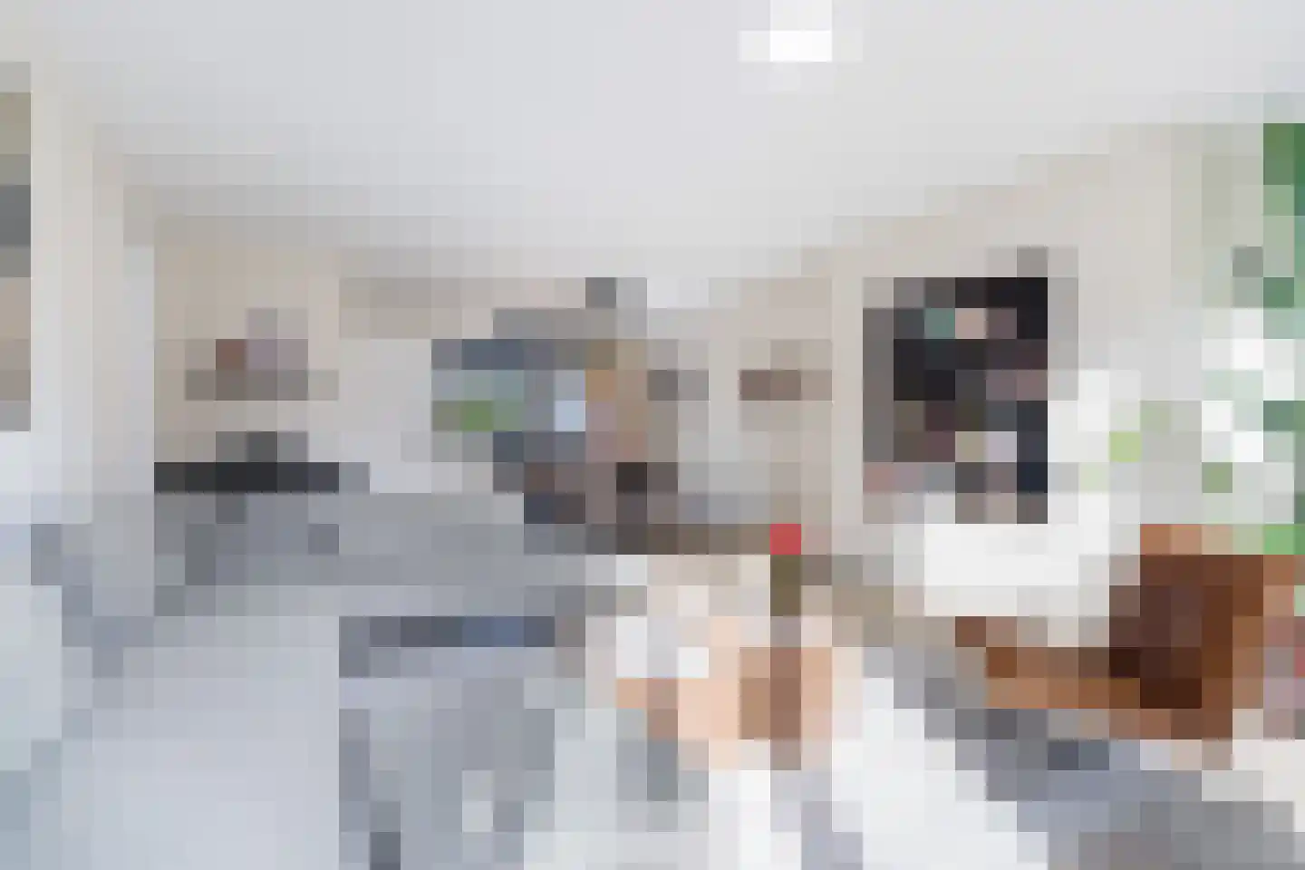 Populierenlaan 18 Woudenberg thumbnail 8