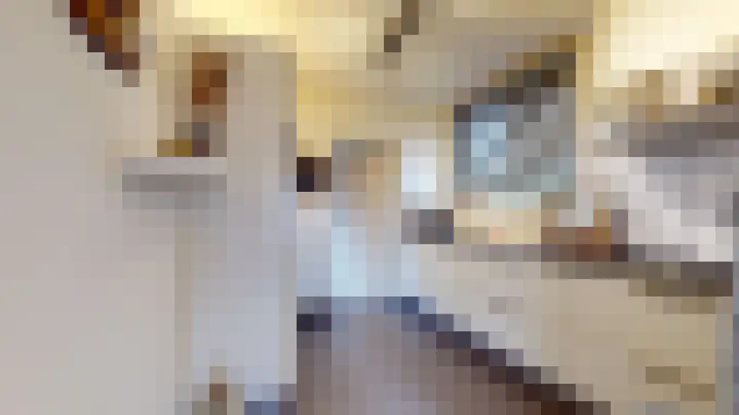Populierenlaan 19 Oirsbeek thumbnail 5