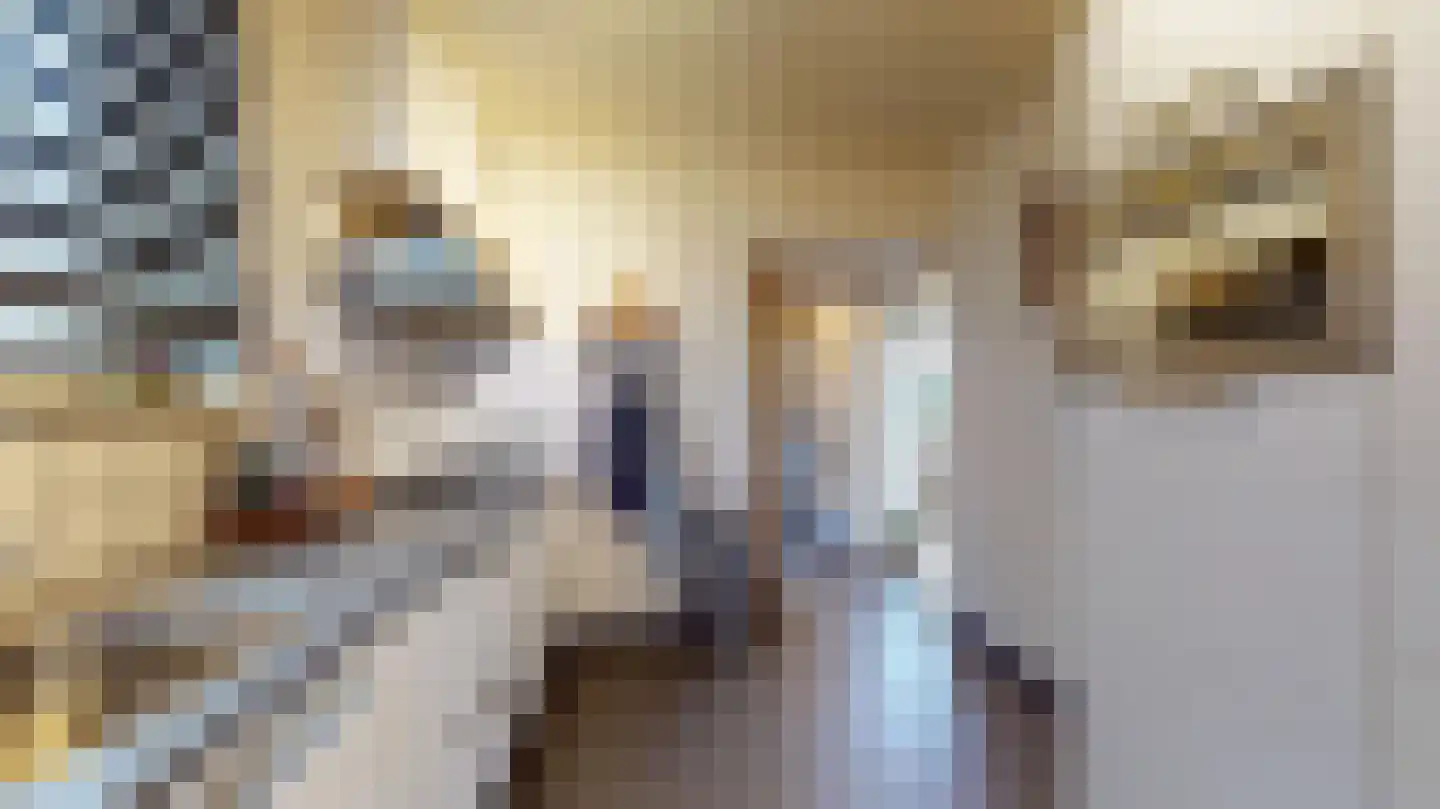 Populierenlaan 19 Oirsbeek thumbnail 6