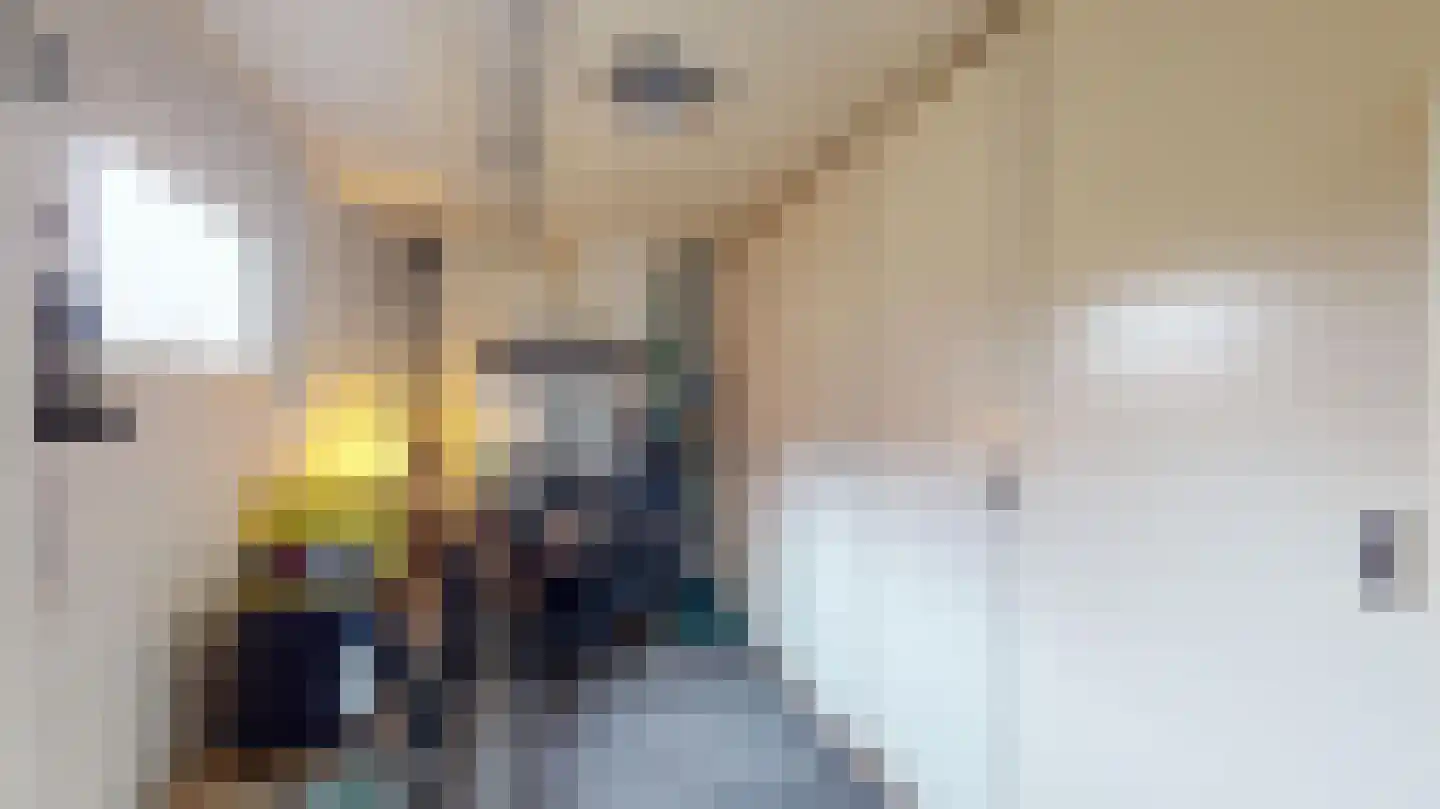 Populierenlaan 19 Oirsbeek thumbnail 8