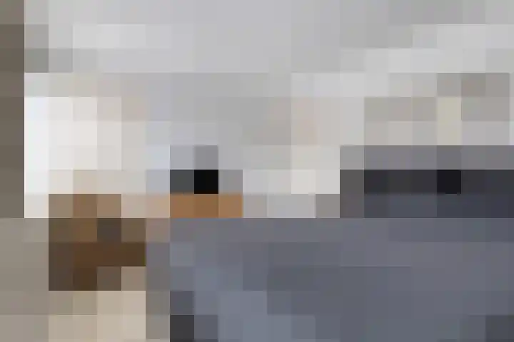 Populierenlaan 19 Volendam thumbnail 17