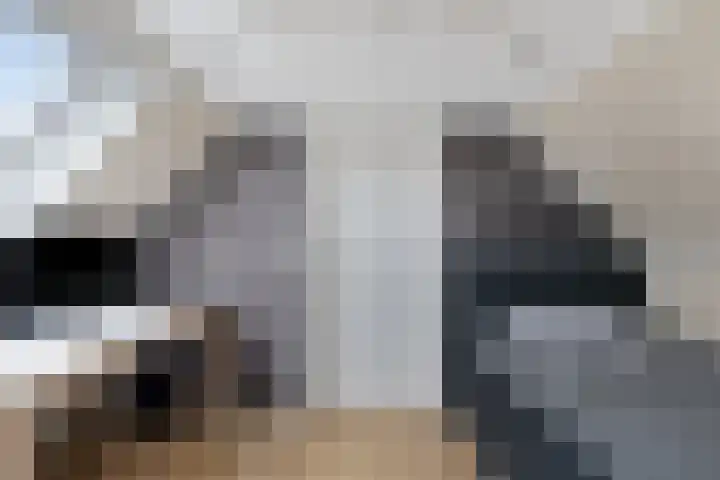 Populierenlaan 19 Volendam thumbnail 26