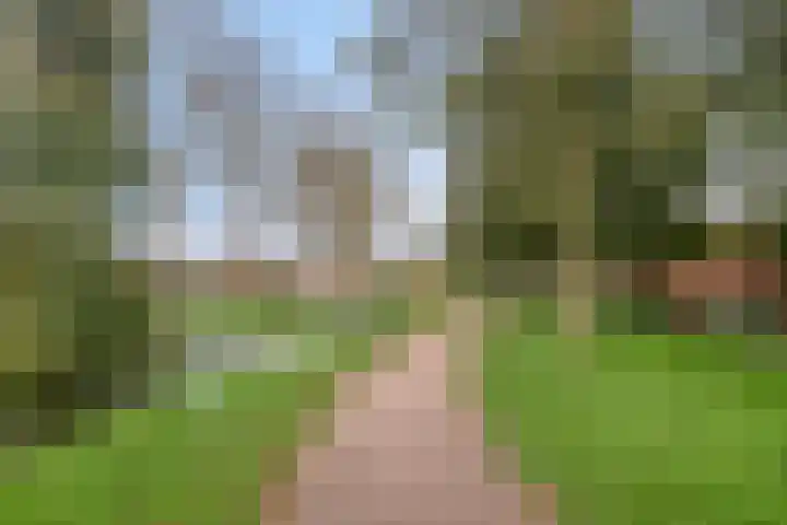 Populierenlaan 19 Volendam thumbnail 41