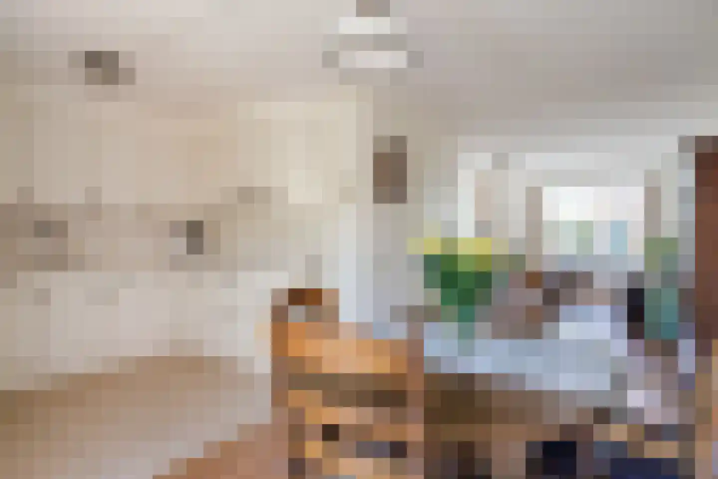 Populierenlaan 2 A Krommenie thumbnail 11