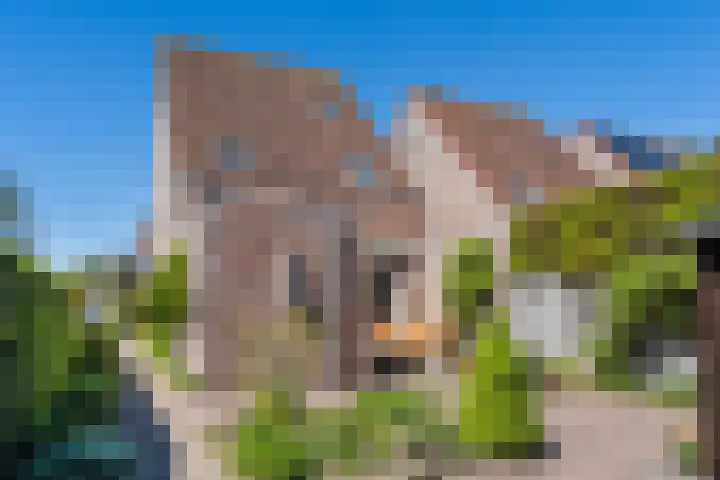 Populierenlaan 2 A Krommenie thumbnail 35