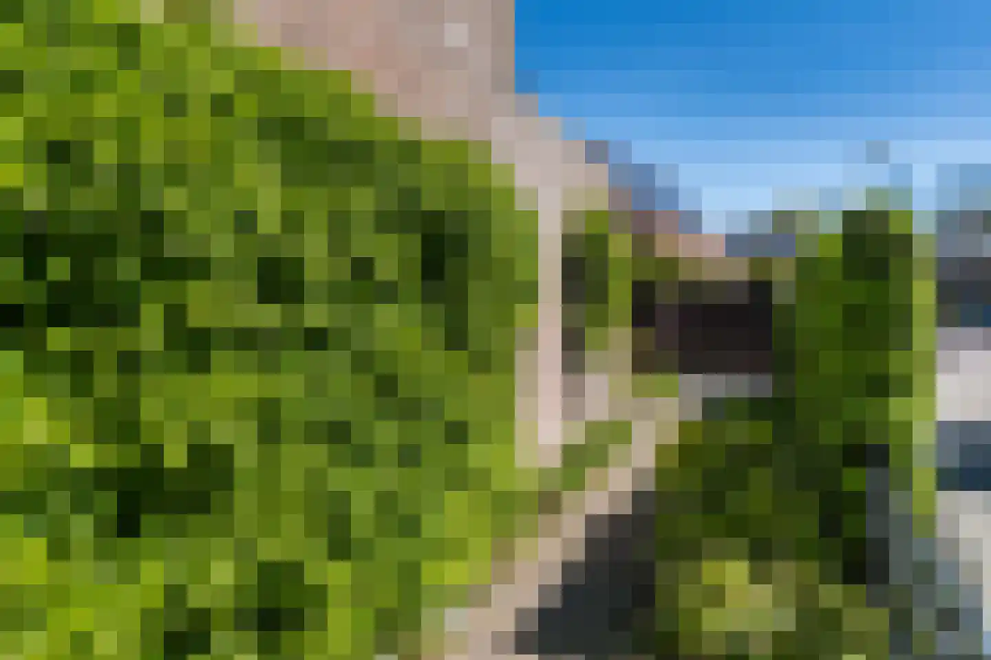 Populierenlaan 2 A Krommenie thumbnail 36