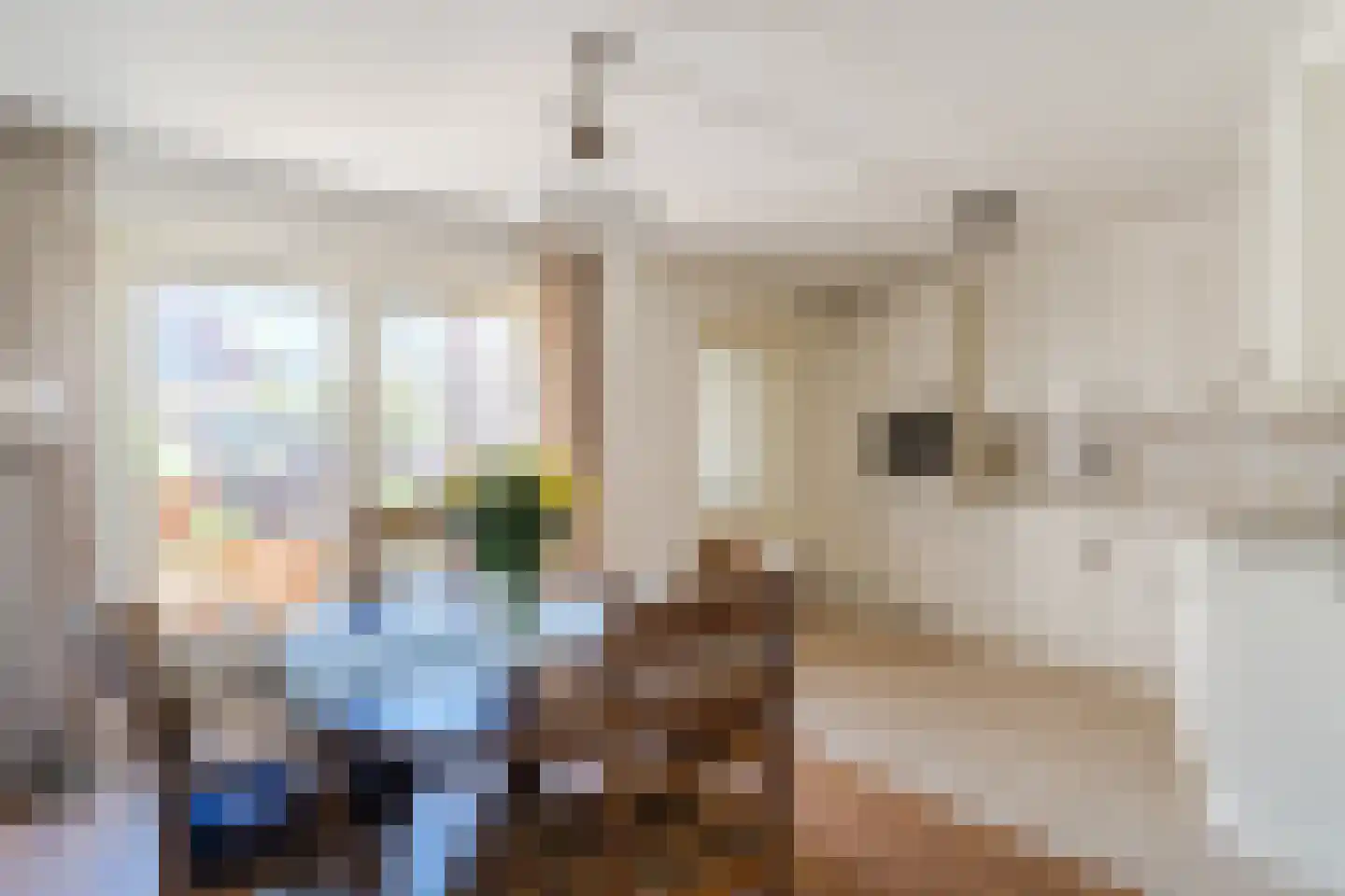 Populierenlaan 2 A Krommenie thumbnail 9