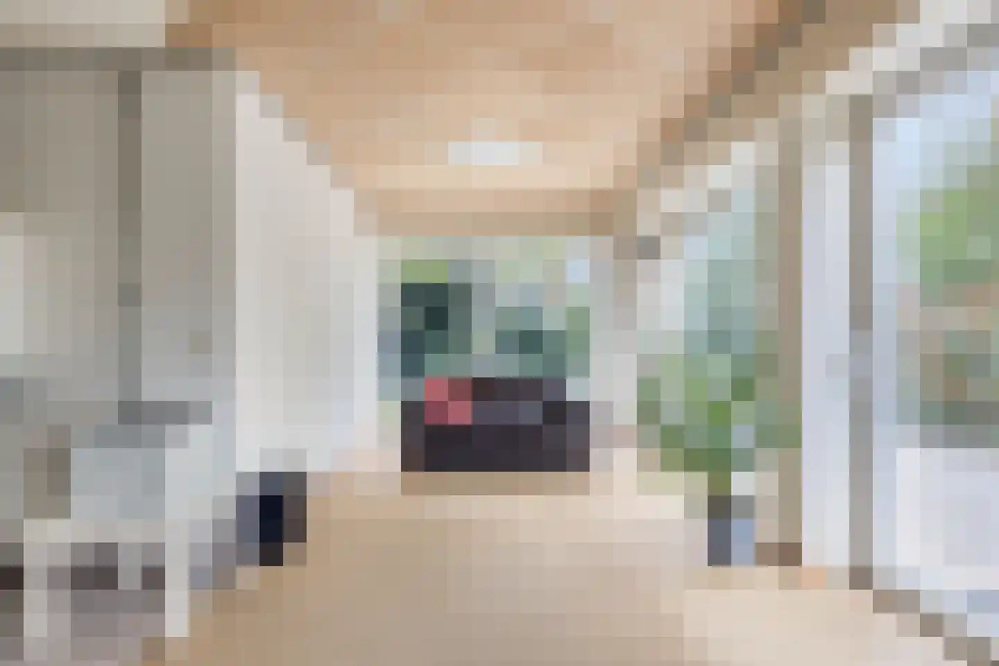 Populierenlaan 2 Kamperland thumbnail 10