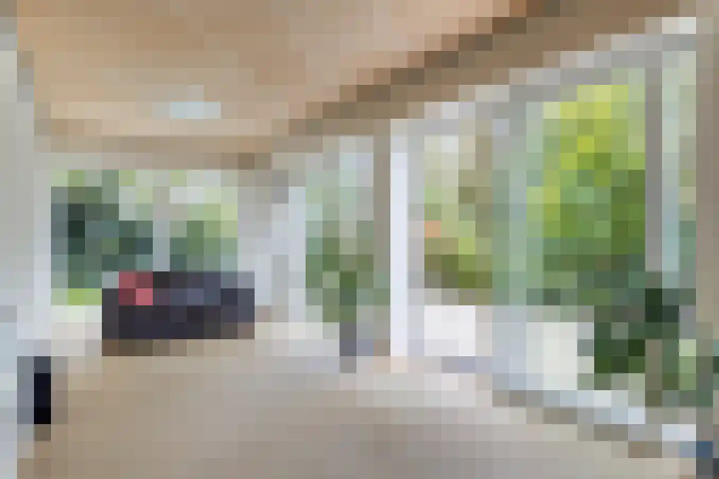Populierenlaan 2 Kamperland thumbnail 11