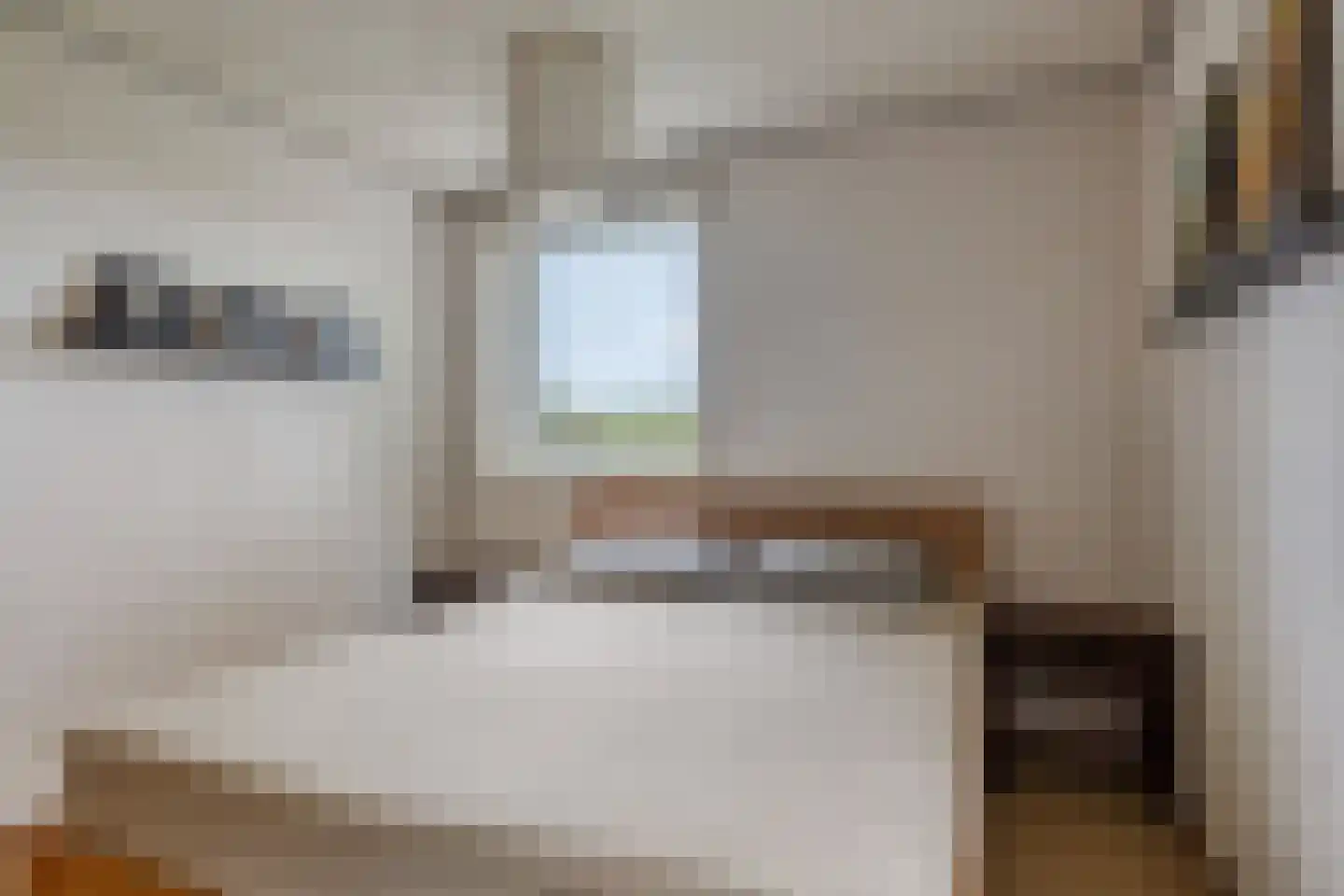 Populierenlaan 2 Kamperland thumbnail 20