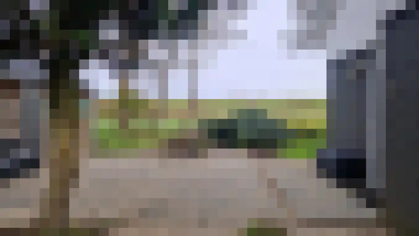 Populierenlaan 2 Kamperland thumbnail 32