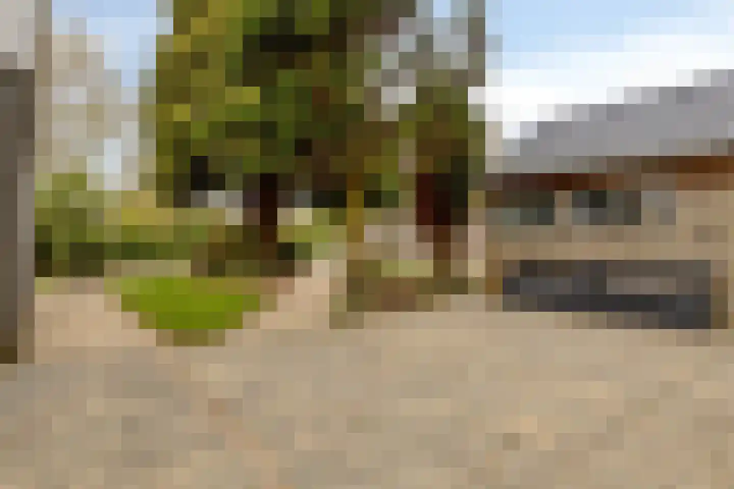 Populierenlaan 2 Kamperland thumbnail 32