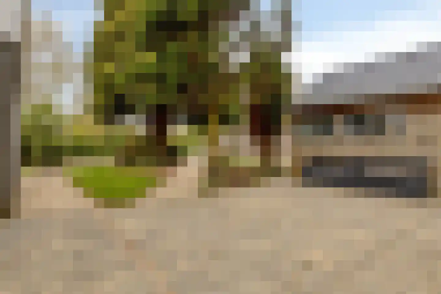 Populierenlaan 2 Kamperland thumbnail 33