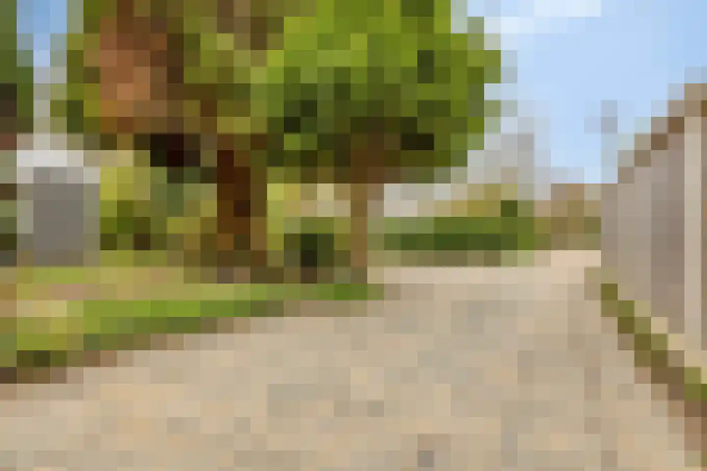 Populierenlaan 2 Kamperland thumbnail 35