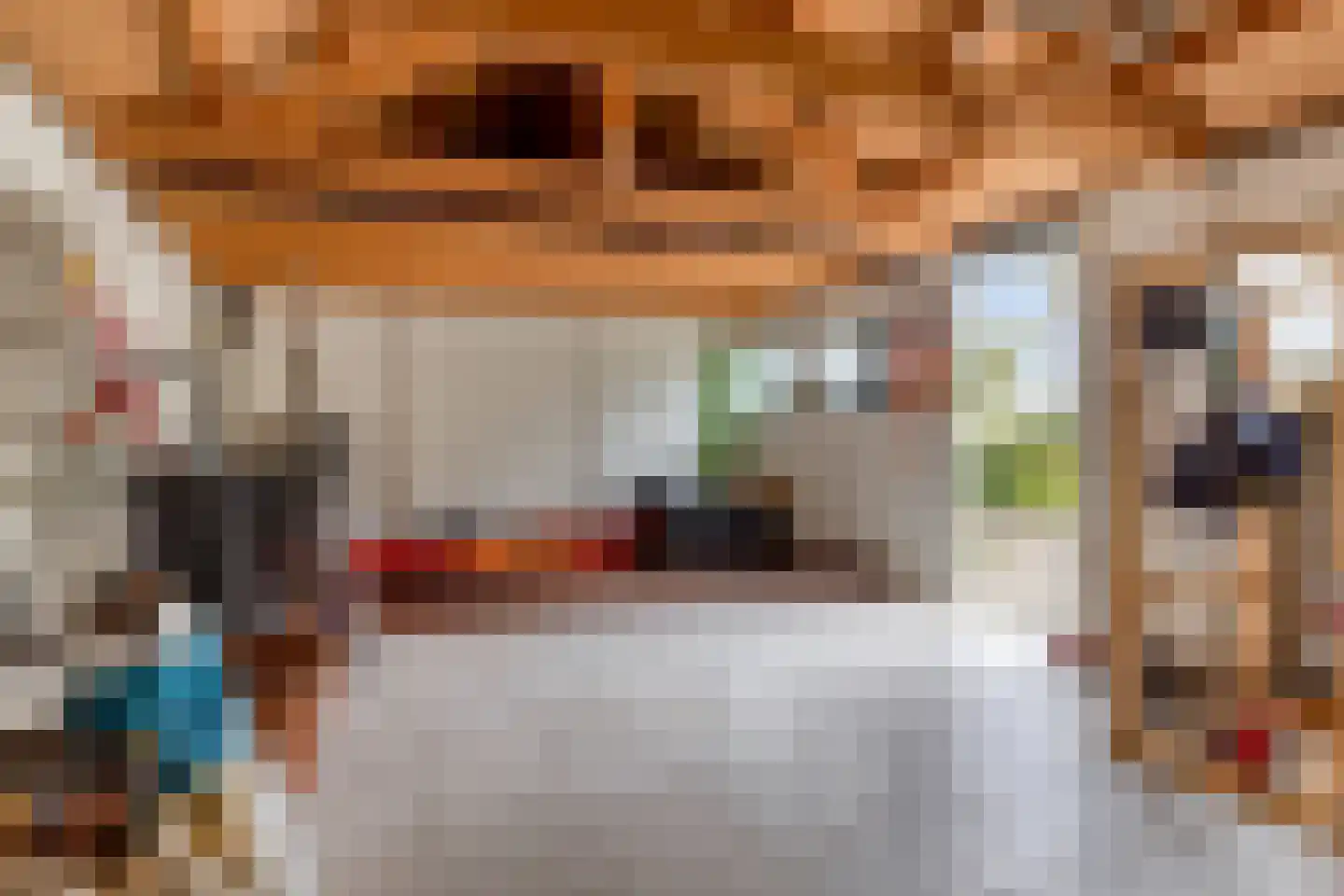 Populierenlaan 2 Kamperland thumbnail 35