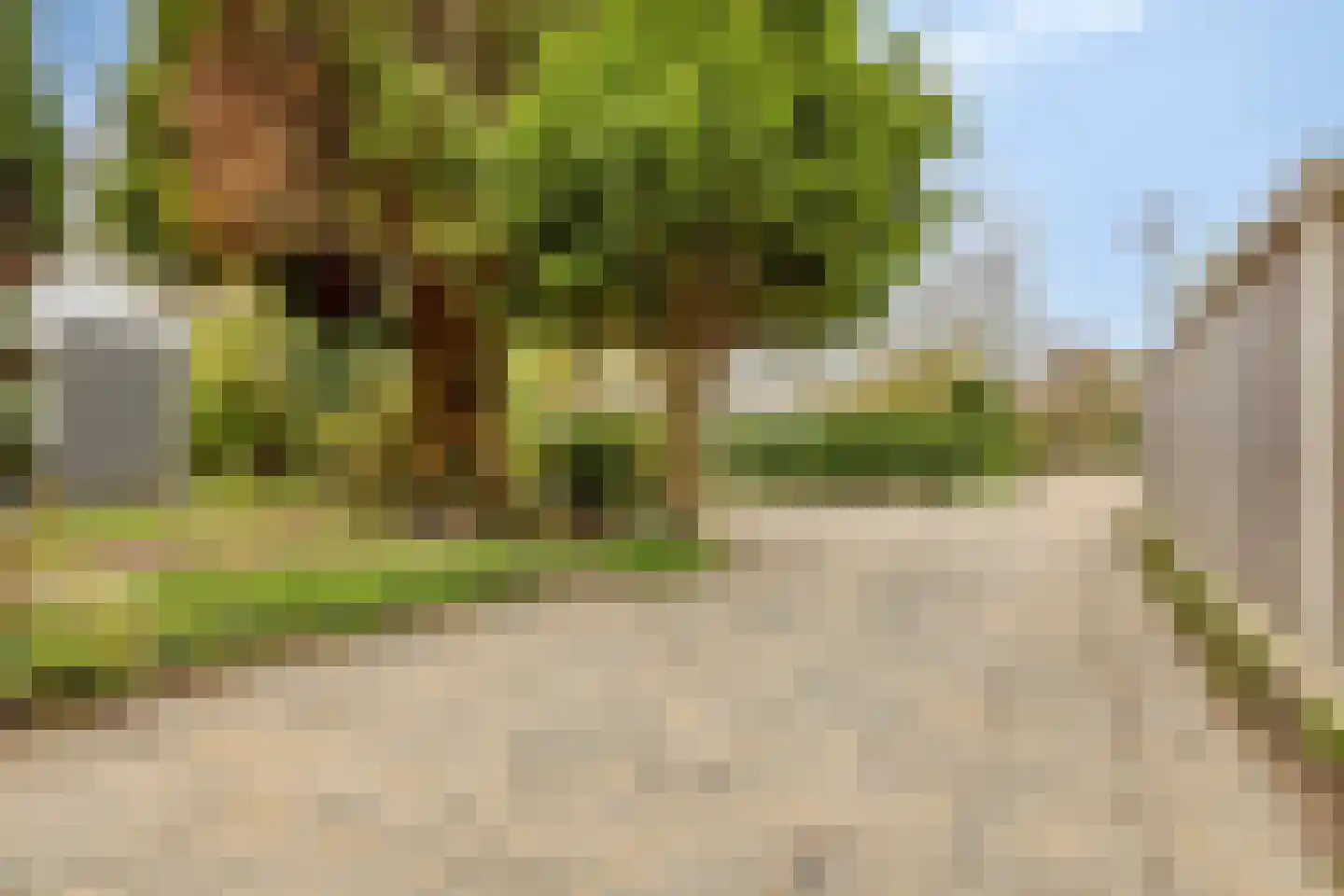Populierenlaan 2 Kamperland thumbnail 36