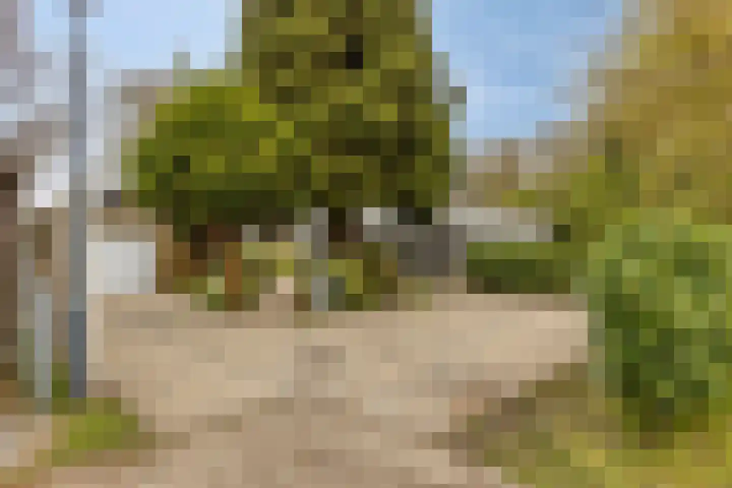 Populierenlaan 2 Kamperland thumbnail 37