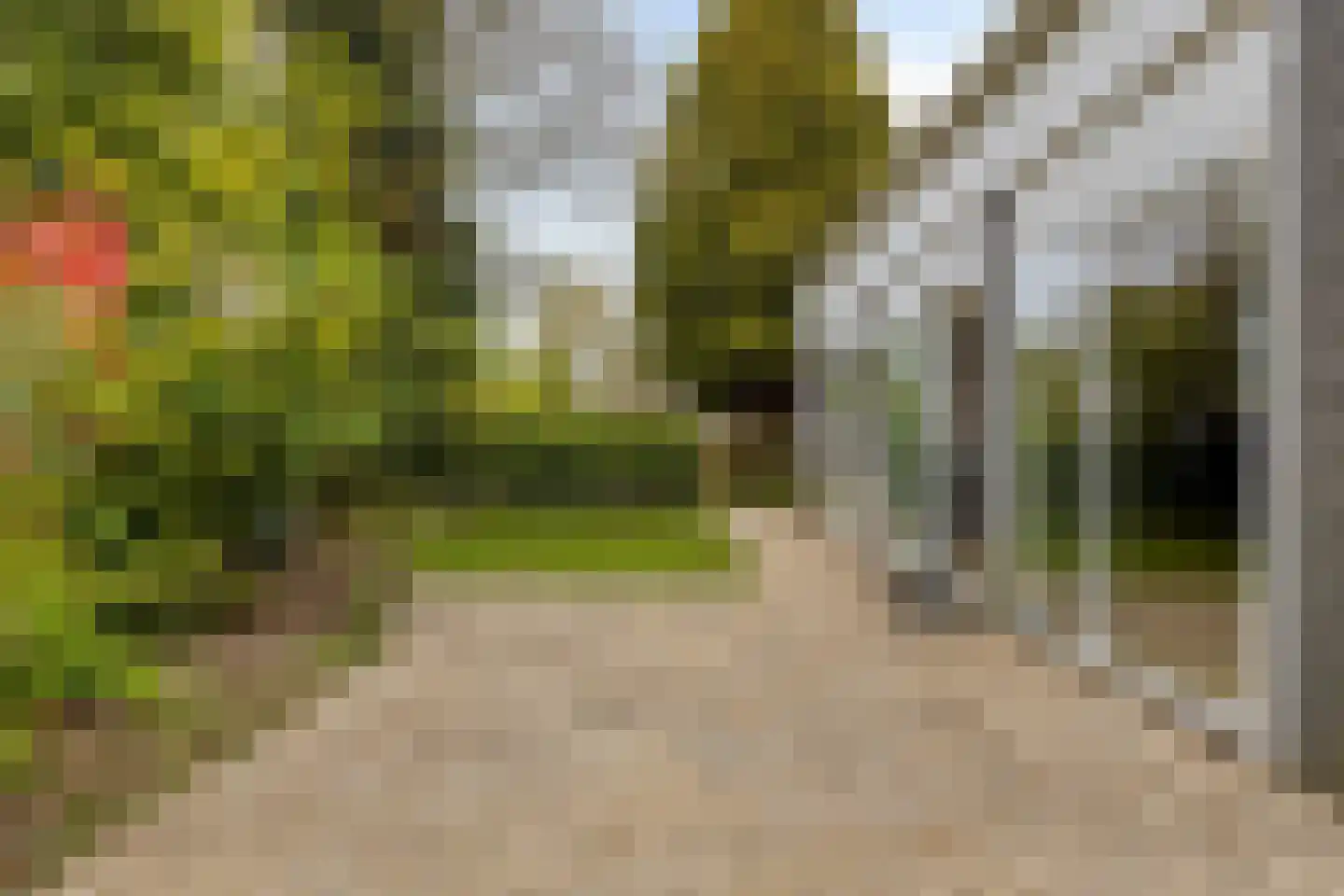 Populierenlaan 2 Kamperland thumbnail 38