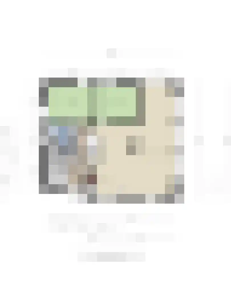 Populierenlaan 2 Kamperland thumbnail 42