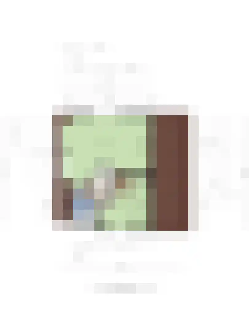 Populierenlaan 2 Kamperland thumbnail 43