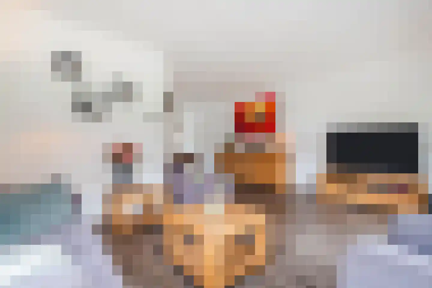 Populierenlaan 20 Emmer-Compascuum thumbnail 14