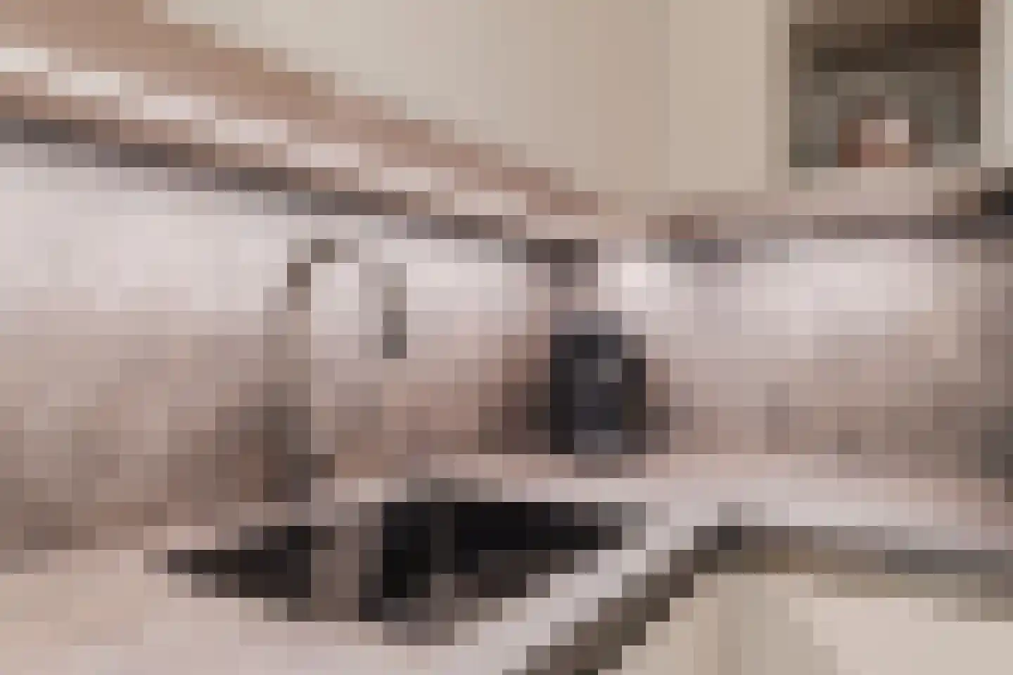 Populierenlaan 20 Emmer-Compascuum thumbnail 21