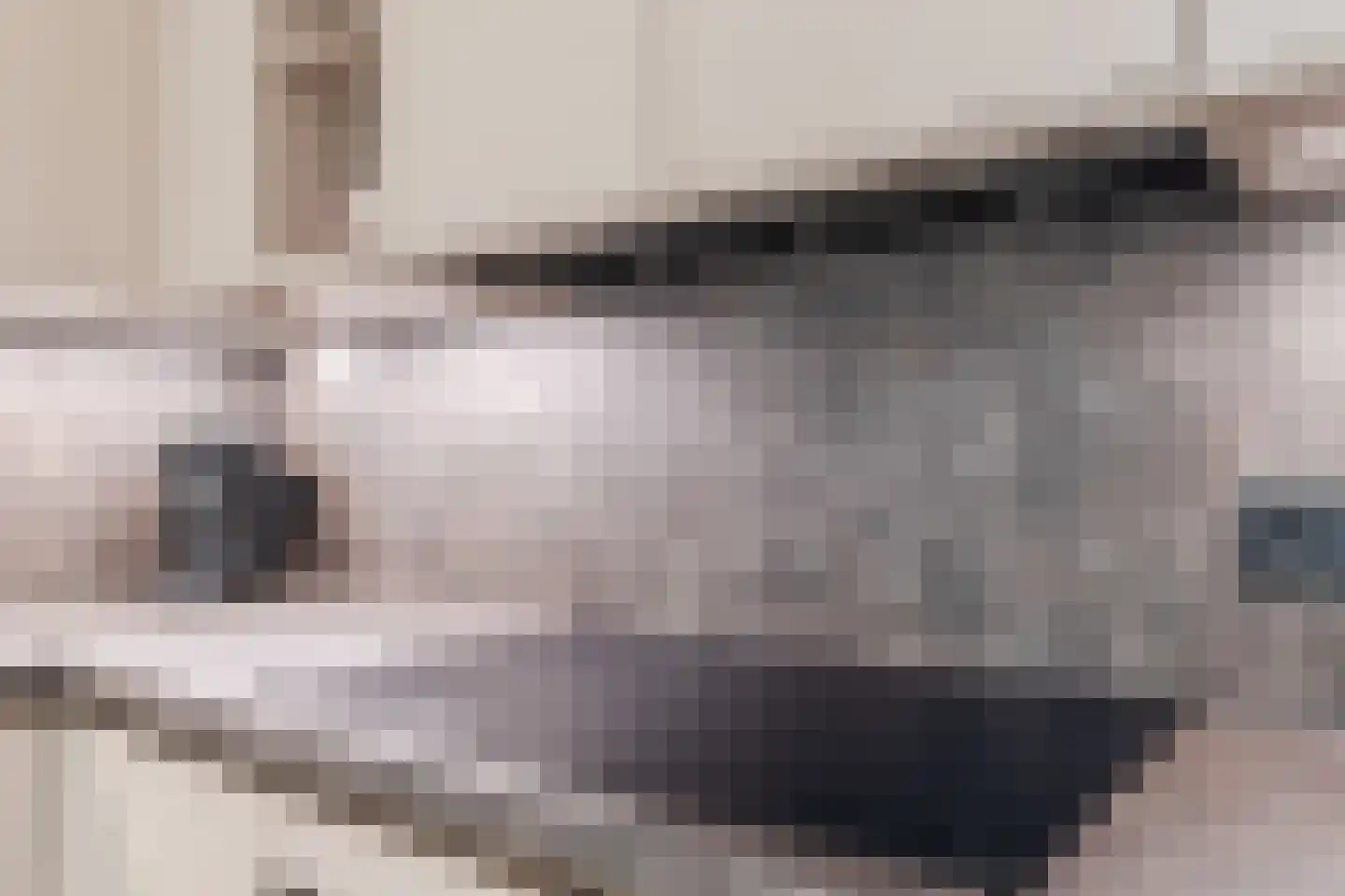 Populierenlaan 20 Emmer-Compascuum thumbnail 22