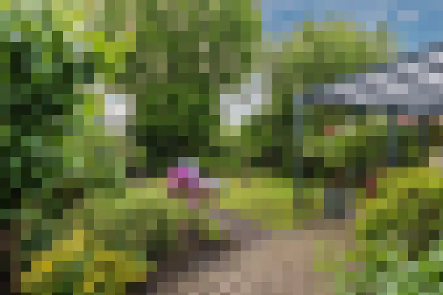 Populierenlaan 20 Emmer-Compascuum thumbnail 41